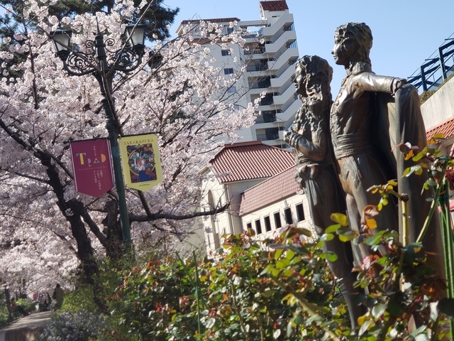 華やかな桜のトンネルが出現！宝塚大劇場周辺「花のみち」20220404_150848.jpg