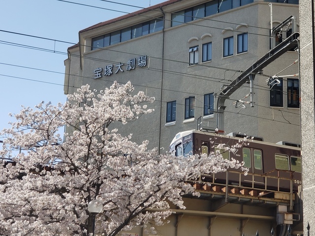 宝塚音楽学校 桜 宝塚大劇場 宝塚ホテル 武庫川20220404_154119.jpg