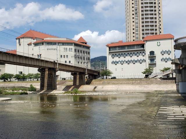 33958.jpg