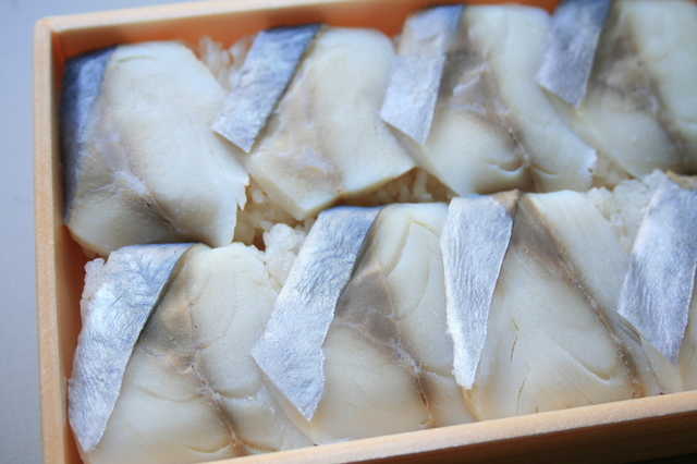 IMG_233D̉wفủv͓`I@ɂ锖t̉i9.JPG