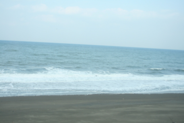 IMG_333打ち寄せる波と砂浜がダイナミックに車窓に広がるJR信越本線　0.JPG