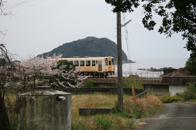 IMG_3337△沿線の桜と阿佐海岸鉄道の列車.JPG