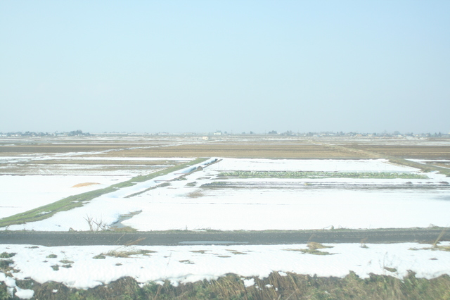 IMG_33車窓には広大な穀倉地帯である越後平野が広がるJR信越本線37.JPG