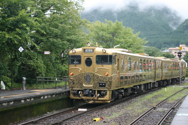 IMG_4333.JPG