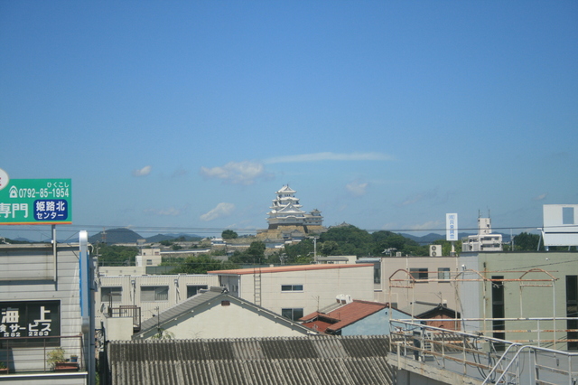 IMG_4495.JPG