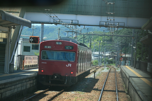 IMG_4513.JPG
