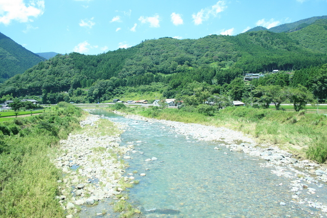 IMG_4654.JPG
