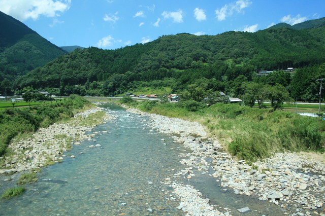 IMG_4655.JPG