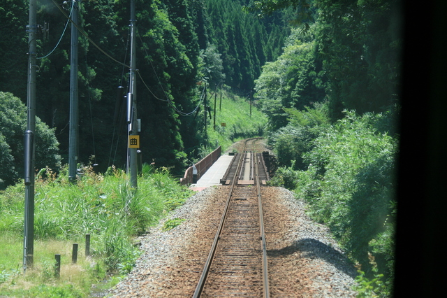 IMG_4664.JPG