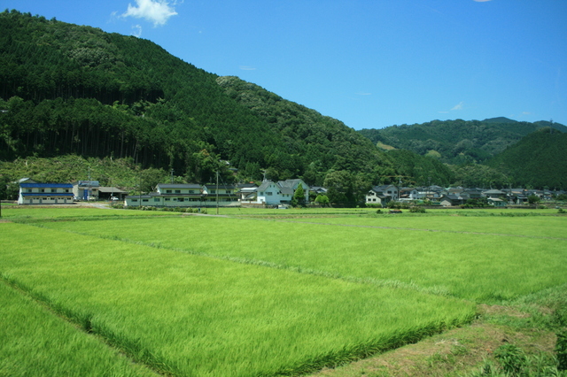 IMG_4687.JPG
