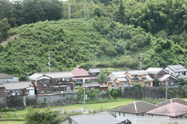 IMG_4867.JPG