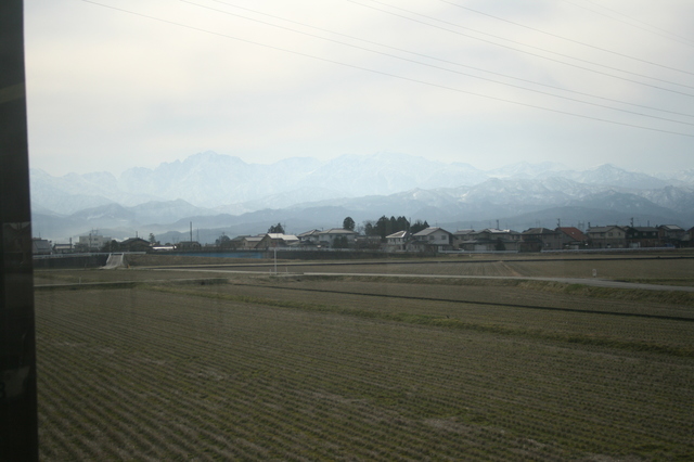 IMG_4986.JPG