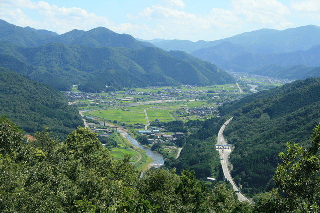 IMG_4998.JPG