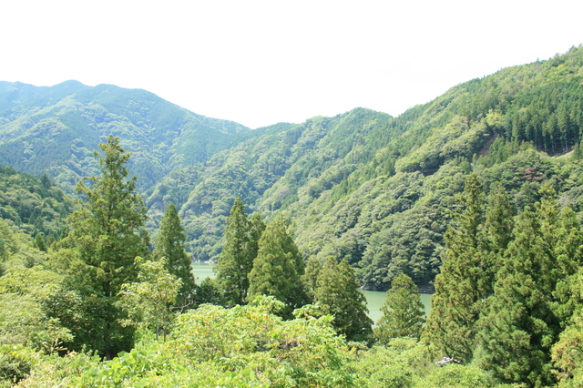IMG_5902.JPG