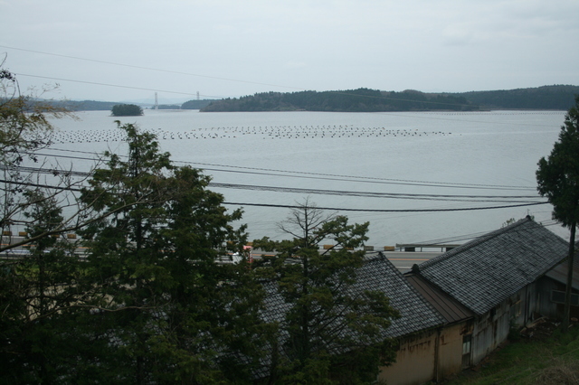 IMG_7590.JPG