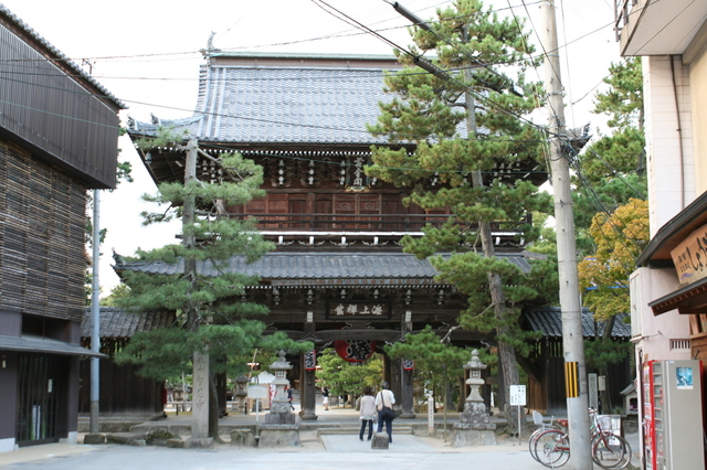 IMG_7744.JPG