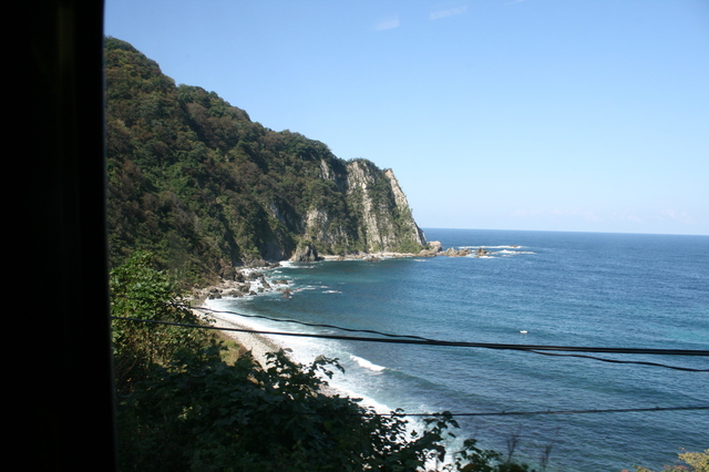 IMG_7981.JPG