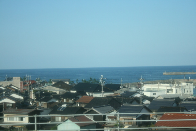 IMG_8310.JPG