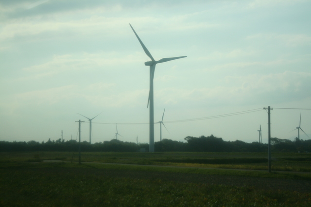 IMG_8356.JPG
