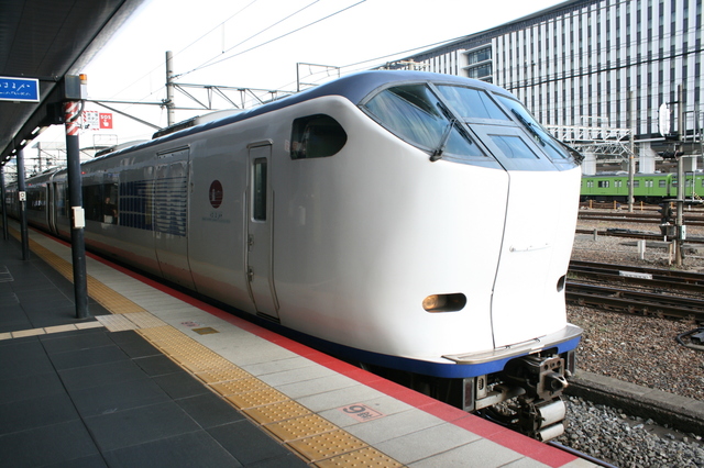 IMG_849֋}͂邩8.JPG