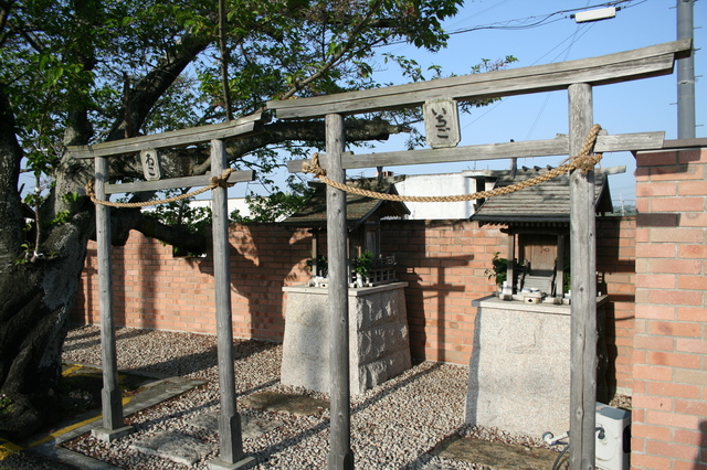 IMG_8782.JPG