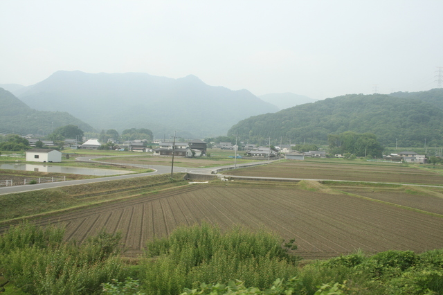 IMG_9847.JPG