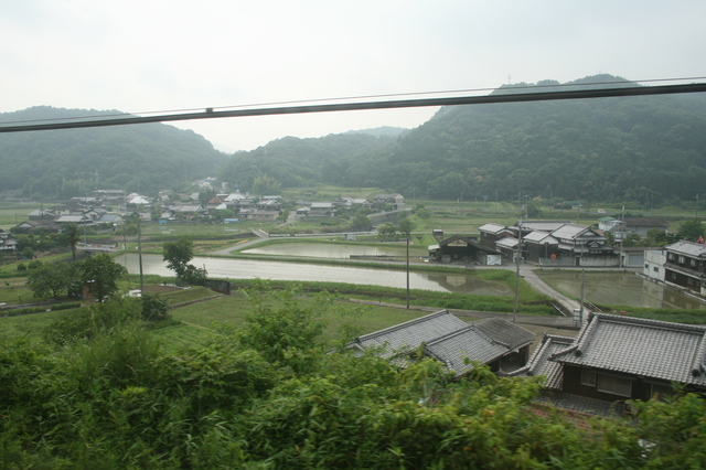 IMG_9870.JPG