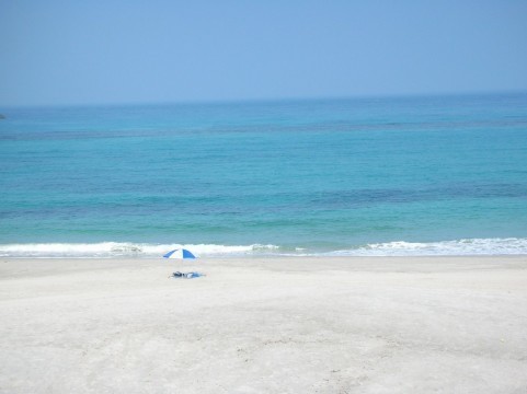 a0030_000008.jpg